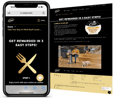 Mars Petcare - Cesar Bring your Dog to Work Business Lunch Promo web