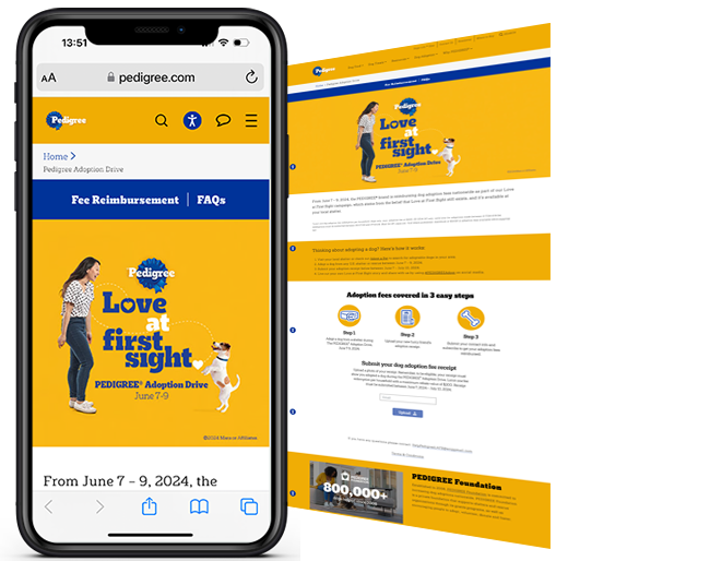 Pedigree Love at First Sight Adoption Program