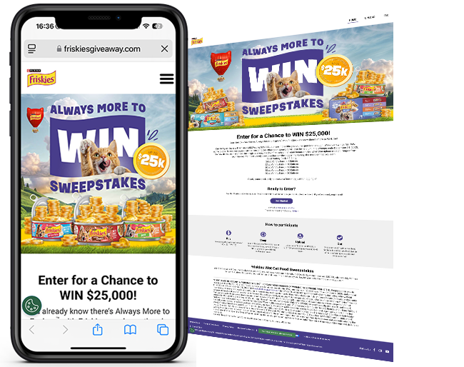 Purina Friskies Q4 Sweeps