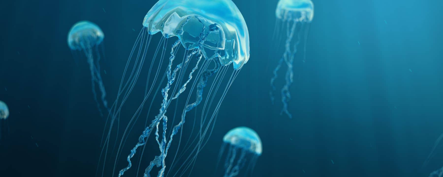 A group of translucent blue jellyfish at the bottom of the ocean, representing the depth of retail POS data