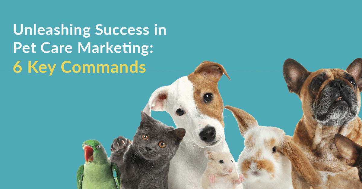 Unleashing Success in Pet Care Marketing: 6 Key Commands